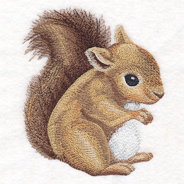 Sweet Baby Squirrel