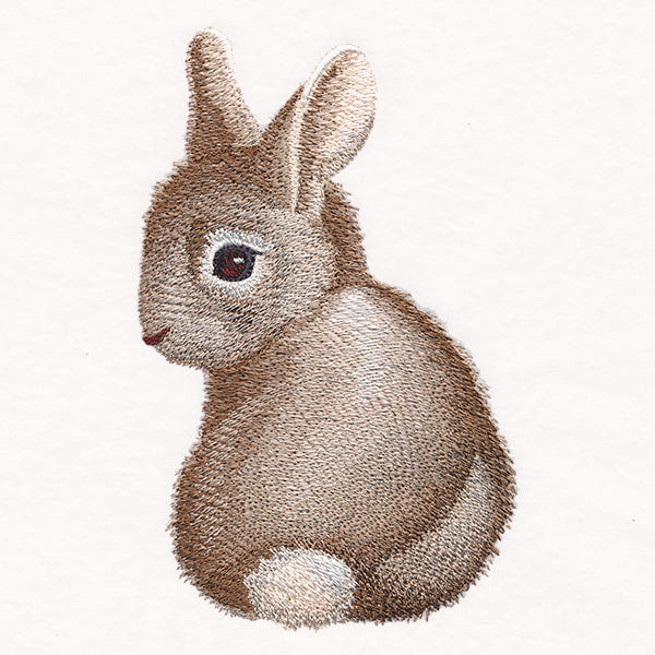Sweet Baby Bunny