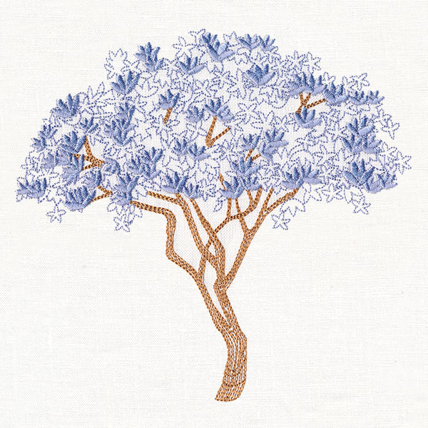 Delicate Magnolia Tree