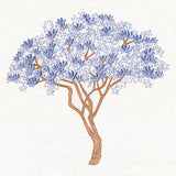 Delicate Magnolia Tree