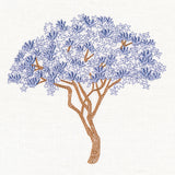 Delicate Magnolia Tree