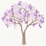 Delicate Jacaranda Tree