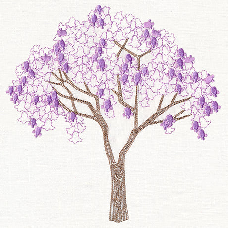 Delicate Jacaranda Tree