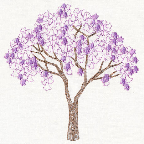 Delicate Jacaranda Tree