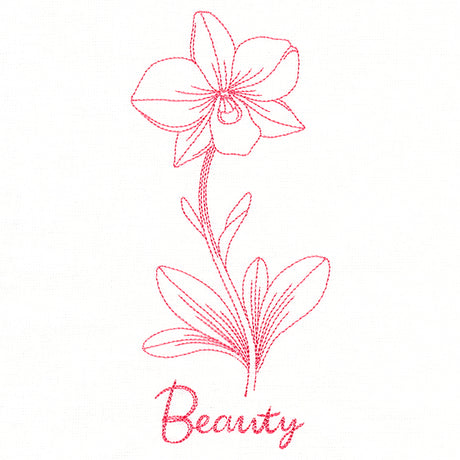 Orchids of Beauty (Vintage)