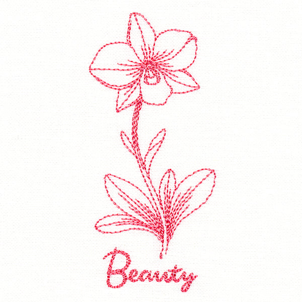 Orchids of Beauty (Vintage)