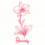 Orchids of Beauty (Vintage)