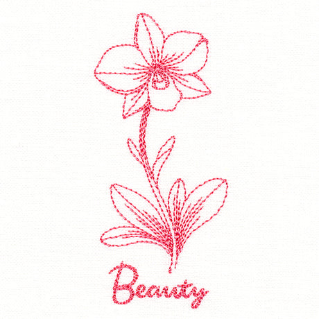 Orchids of Beauty (Vintage)