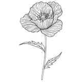 Pretty Poppy Etching