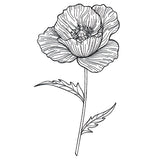 Pretty Poppy Etching