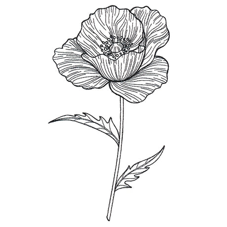 Pretty Poppy Etching
