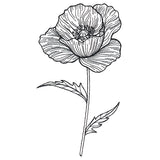 Pretty Poppy Etching