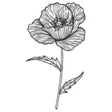 Pretty Poppy Etching