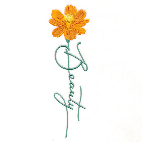 Beauty Bloom Daffodil