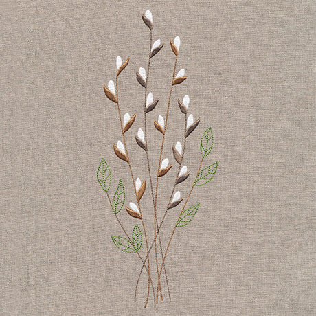 Delicate Pussy Willow Branches