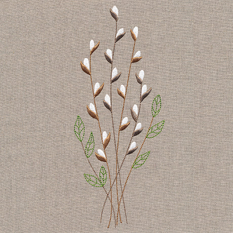 Delicate Pussy Willow Branches