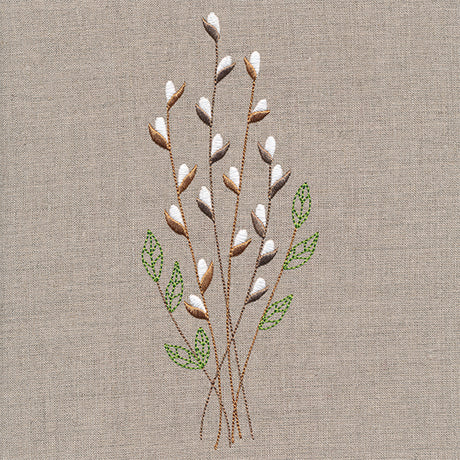 Delicate Pussy Willow Branches