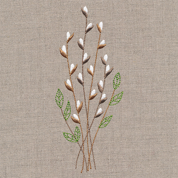 Delicate Pussy Willow Branches