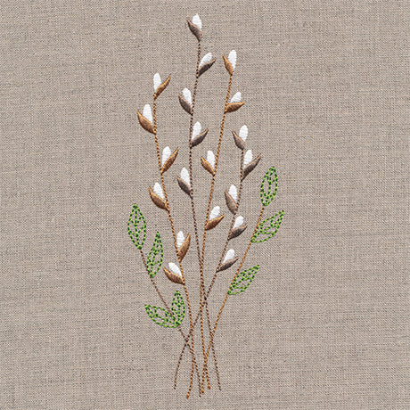 Delicate Pussy Willow Branches