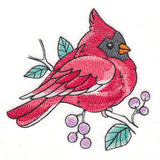 Sweet Spring Cardinal