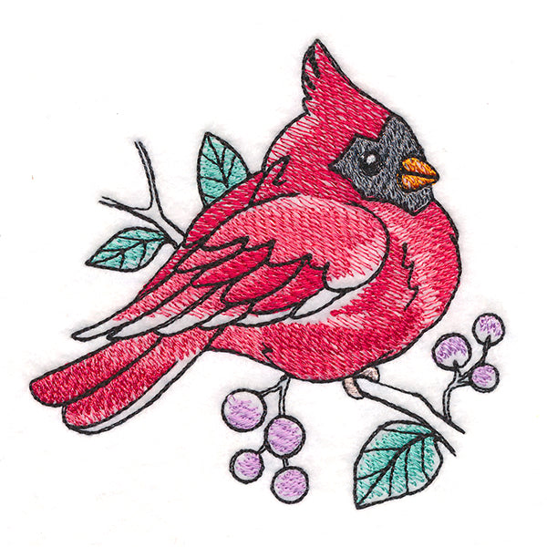 Sweet Spring Cardinal