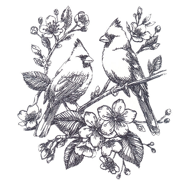 Antique Elegance Cardinal Etching