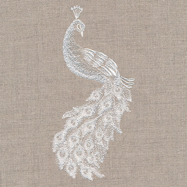 Elegance in Style Peacock