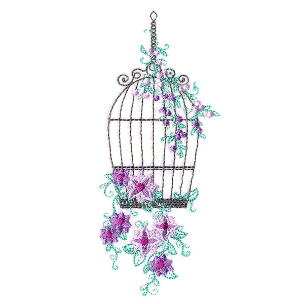 Delicate Birdcage 1