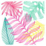 Tropical Fronds Square