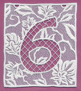 Bunting Number 6 (Lace)