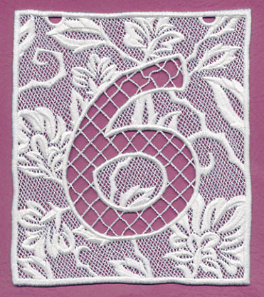 Bunting Number 6 (Lace)