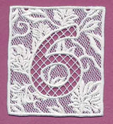 Bunting Number 6 (Lace)