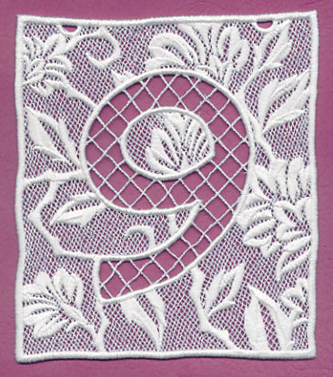 Bunting Number 9 (Lace)