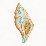 Enchanting Tulip Shell in Watercolor