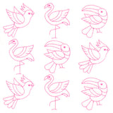 Birds in Paradise Quilting (Double Run)