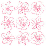 Flowers in Paradise Quilting (Double Run)