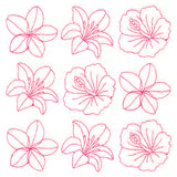 Flowers in Paradise Quilting (Double Run)