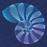 Beautiful Shark Eye Shell