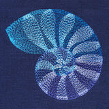 Beautiful Shark Eye Shell