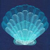 Stunning Scalloped Shell