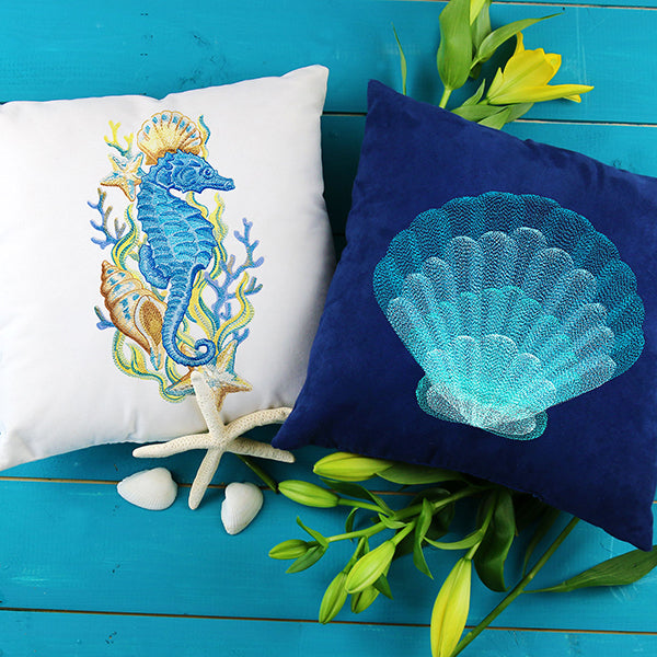 Stunning Scalloped Shell