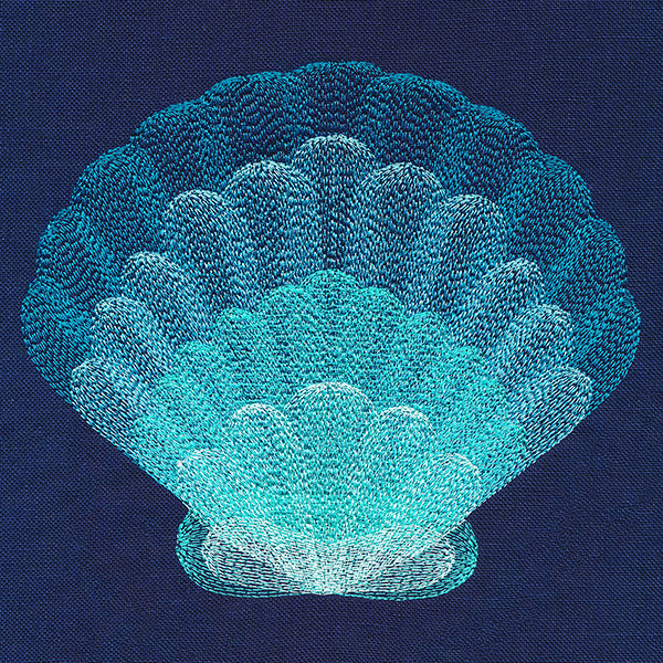 Stunning Scalloped Shell