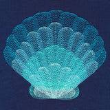 Stunning Scalloped Shell