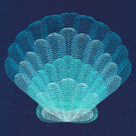 Stunning Scalloped Shell