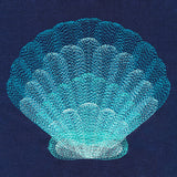 Stunning Scalloped Shell