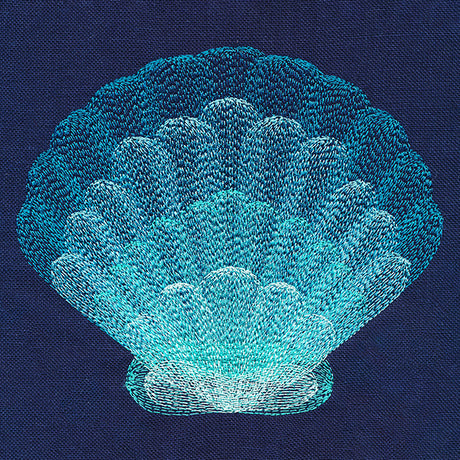 Stunning Scalloped Shell