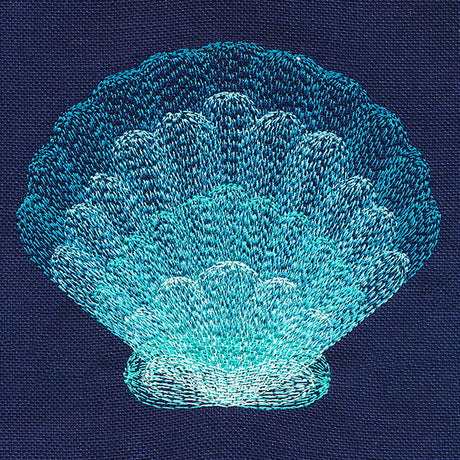 Stunning Scalloped Shell