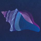 Lovely Lightning Whelk Shell