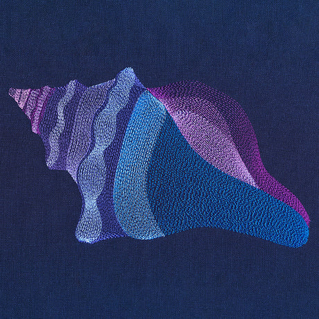 Lovely Lightning Whelk Shell