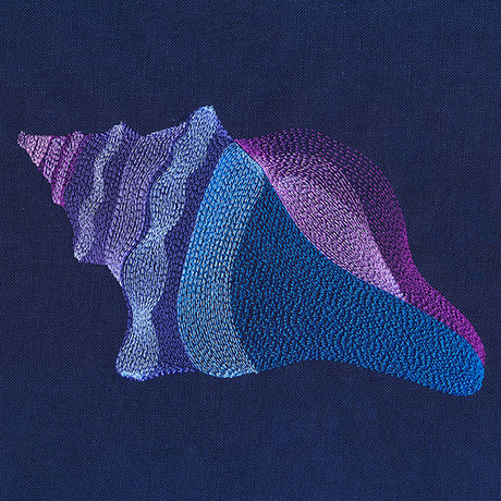 Lovely Lightning Whelk Shell